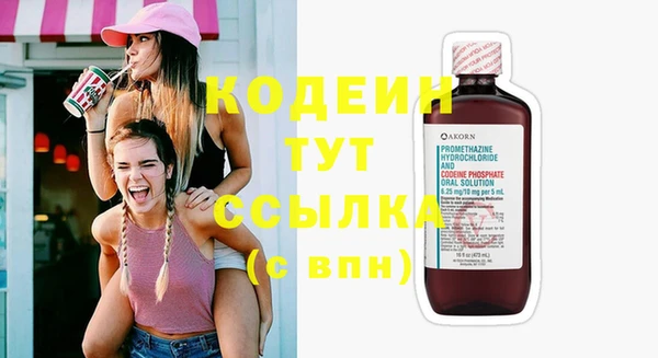 прущие грибы Арсеньев