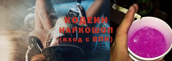 прущие грибы Арсеньев
