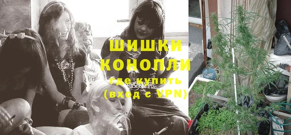 молекула духа Сафоново