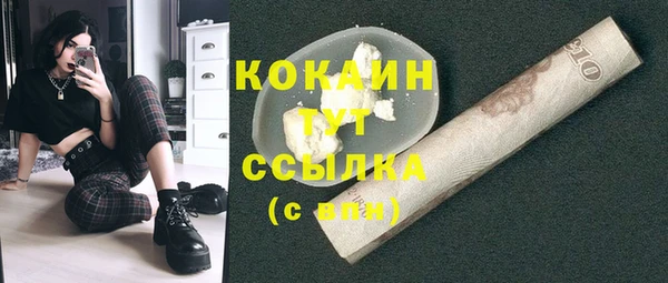 прущие грибы Арсеньев