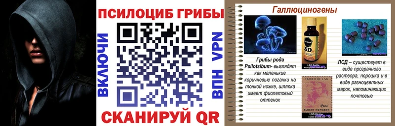 Псилоцибиновые грибы Cubensis  Островной 